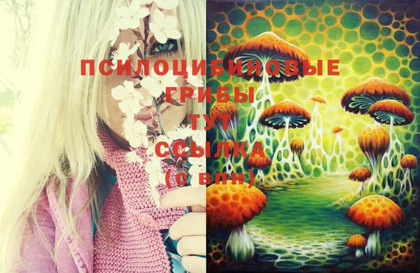 не бодяженный Видное