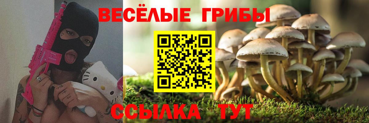 Галлюциногенные грибы Psilocybe  Вход с VPN  Череповец 