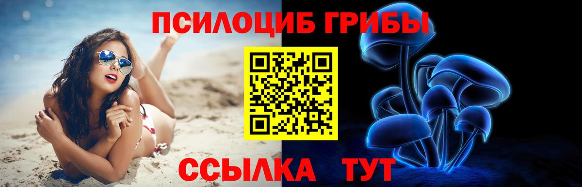 Псилоцибиновые грибы Magic Shrooms Череповец